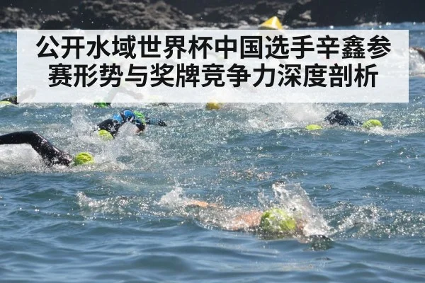 公开水域世界杯中国选手辛鑫参赛形势与奖牌竞争力深度剖析 - kaiyun